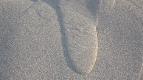 Desert. showered with sand dunes. Stock Footage 64546769