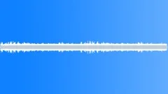Desert Shrub Atmoshere Tropical Sound Effect