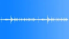 Desert Shrub Atmosphere Tropical Sound Effect