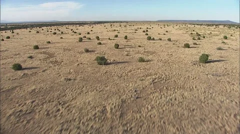 Desert Shrubs Arizona Stock Footage 40686377