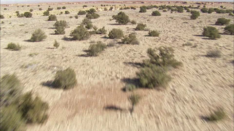 Desert Shrubs Canyons Stock Footage 38636461