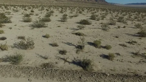 Desert Skyline Stock Footage 106969103