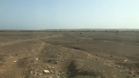Desert Slow Motion 1 Stock Footage 96555121