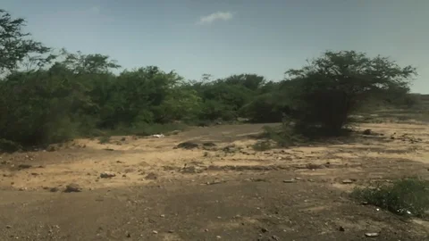 Desert Slow Motion 7 Stock Footage 96559690