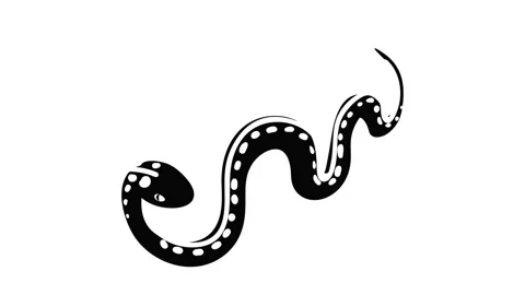 Desert snake icon animation Stock Footage 152770772