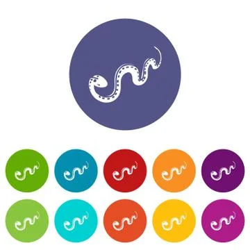 Desert snake icons set vector color Stock Illustration