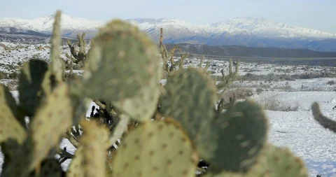 Desert with Snow Stock Footage 105138391
