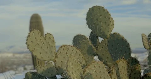 Desert with Snow Stock Footage 105440495