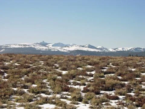 Desert with snow mountain 스톡 사진