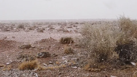 Desert Snowing Landscape Vídeo Stock 100741436