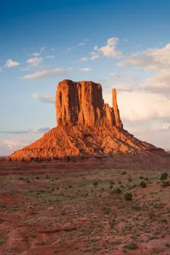 Desert Solitude Stock Photos