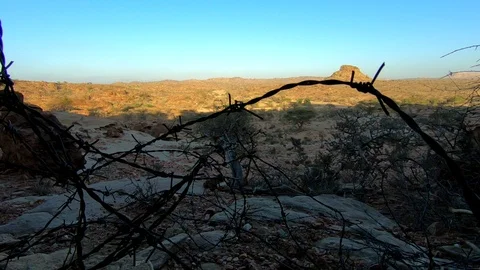 Desert in Somaliland Stock Footage 90668022
