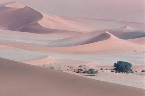 Desert, Sossusvlei, Namibia Stock Photos