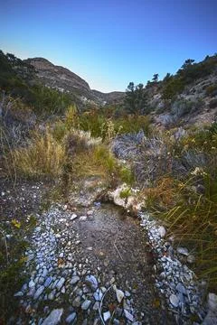 Desert Spring with Rocky Streambed and Mountain Landscape in Early Light Foto stock