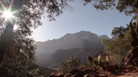 Desert Spring Sun Flare Cactus Scenery Nature in Utah Stock Footage 127324487