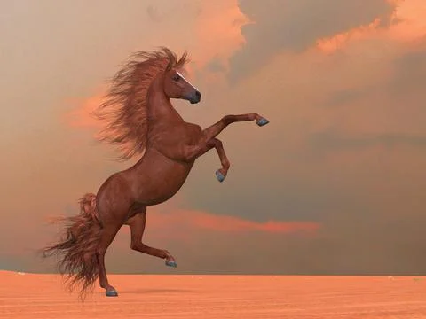 Desert Stallion Stock Illustration