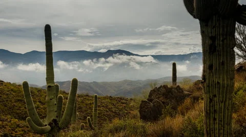 Desert Storm Stock Footage 41130940