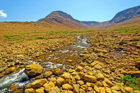 Desert stream cutting through volcanic rock 스톡 사진