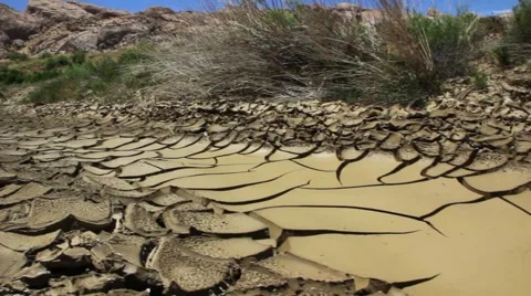 Desert stream drying up dolly shot Stock Footage 5727729