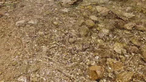 Desert Stream Sparkling in Sunlight Stock Footage 77880753