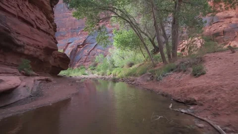 Desert Stream through Red Rock Terrain in Moab Utah Forward Push Stock Footage 333224875