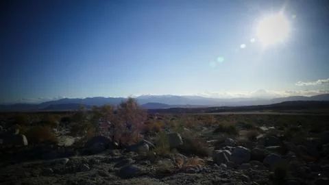Desert Sun Stock Photos