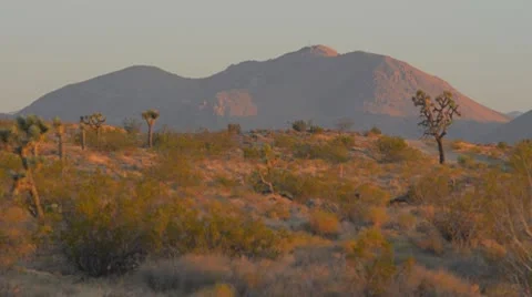 Desert sunrise Stock Footage 9545626