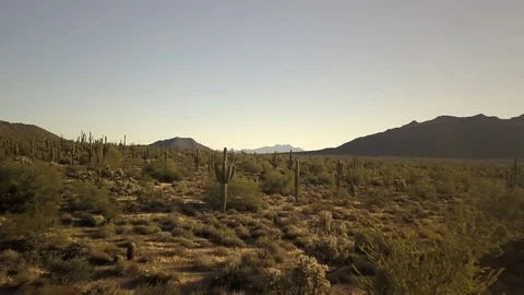 Desert sunrise Stock Footage 120756407