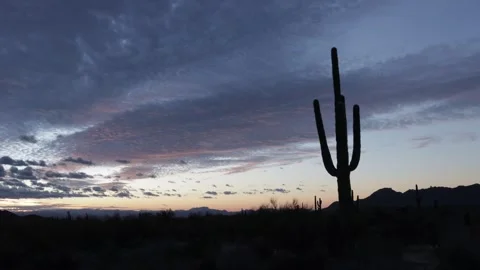 Desert Sunrise Time-Lapse With Fast Moving Clouds &amp; Cacti In Foreground Stock Footage 274726435