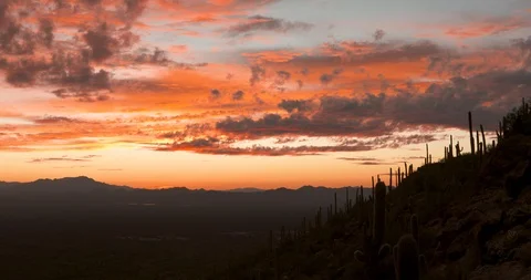Desert Sunset 2 Stock Footage 101111640