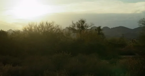 Desert sunset - Arizona Stock Footage 201038491
