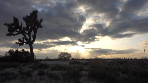 Desert Sunset Drive Stock Footage