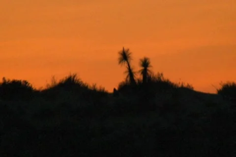 Desert Sunset 库存影片 7745166