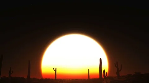 Desert sunset Video stock 71447460