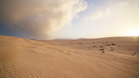 Desert Sunset Stock Footage 98500341