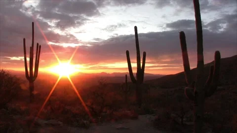 Desert Sunset Stock Footage 226257900