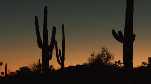 Desert sunset Stock Footage 273726343