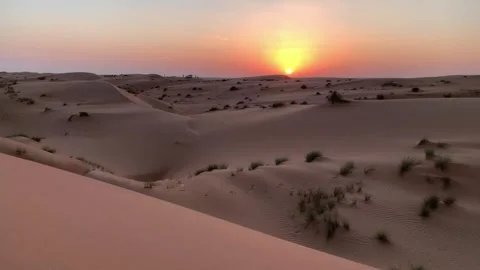 Desert sunset Stock Footage 311149623
