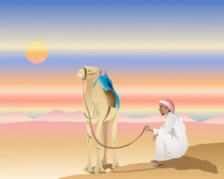 Desert sunset Stock Illustration