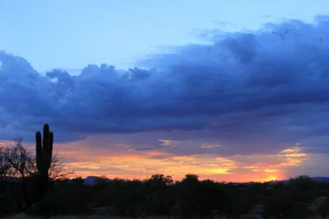 Desert sunset Stock Photos