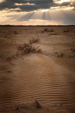 Desert in the sunset Stock Photos