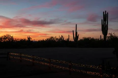 Desert Sunset Stock Photos