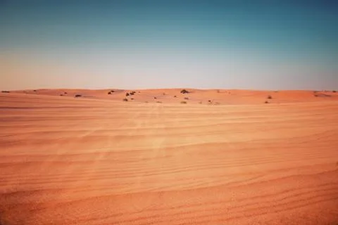 Desert at sunset Stock-Fotos