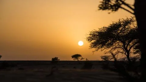 Desert sunset Stock Photos