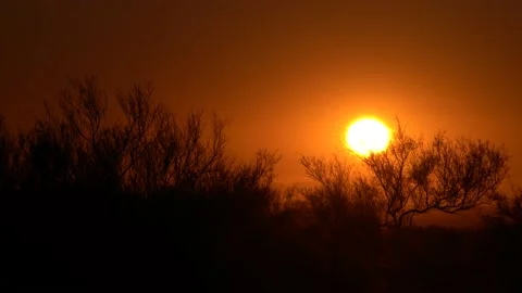 Desert Sunset Timelapse in 4K Vidéo 151807928