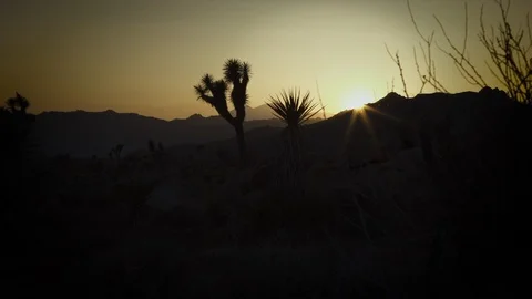 Desert sunset timelapse joshua tree park sun behind mountains nature landscape Stock Footage 101357630