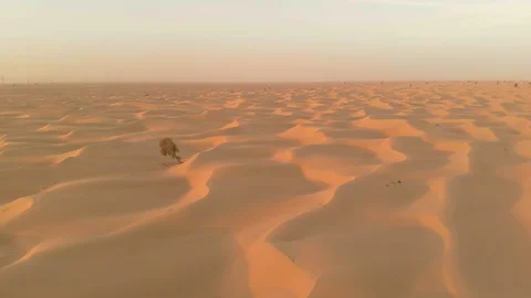 Desert surface Stock Footage 97713189