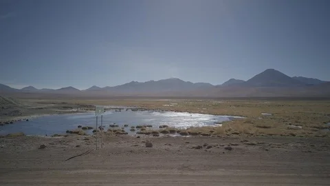 Desert swamp Stock Footage 112349481