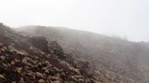 Desert of Tenerife Stock Footage 208122458