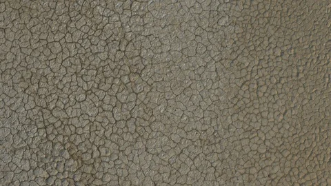 Desert terrain 02 Stock Footage 122817223